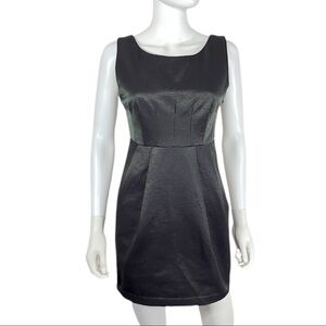 C.Luce  Iridescent Gray Fit & Flare Dress